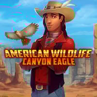 American Wildlife: Canyon Eagle in MORE GAMES