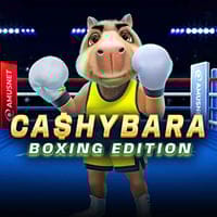 Cashybara Boxing Edition in Crashgames