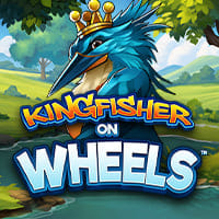 Kingfisher on Wheels in Last7DayReleases