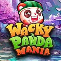Wacky Panda Mania in All Slots