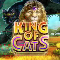 King Of Cats in Big Time Gaming