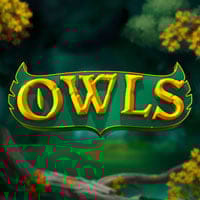 Owls in RECENTLY LAUNCHED