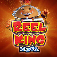 Reel King Mega in Daily Jackpot