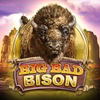 Big Bad Bison in Big Time Gaming