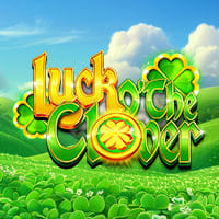 Luck O'The Clover in spinberry