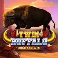 Twin Buffalo: Hold and Win in Booming Games