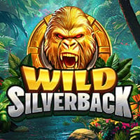 Wild Silverback in Last7DayReleases