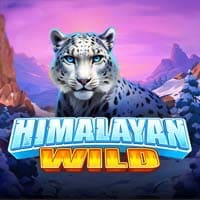 Himalayan Wild in GoldenReleases