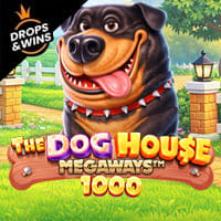 The Dog House Megaways 1000 in Pragmatic Play