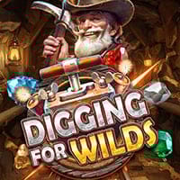 Digging for Wilds in bwinbe_other_jackpot