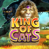 King Of Cats in Big Time Gaming