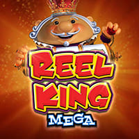 Reel King Mega in Daily Jackpot