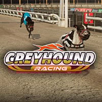 Greyhound Racing in Virtual Sports