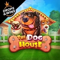 prgthedoghouse